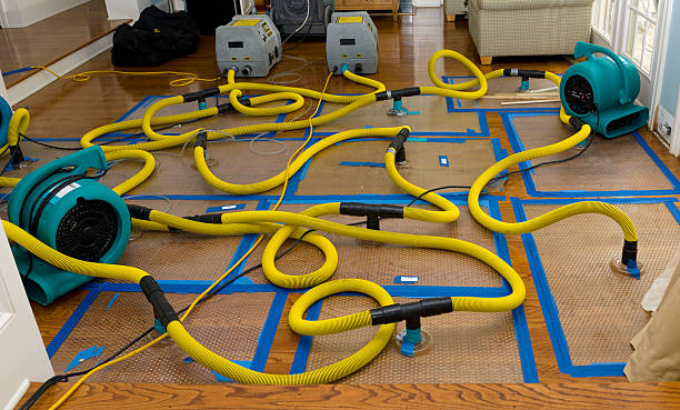 Professional Water Damage Repair technician working in Dallas, WV