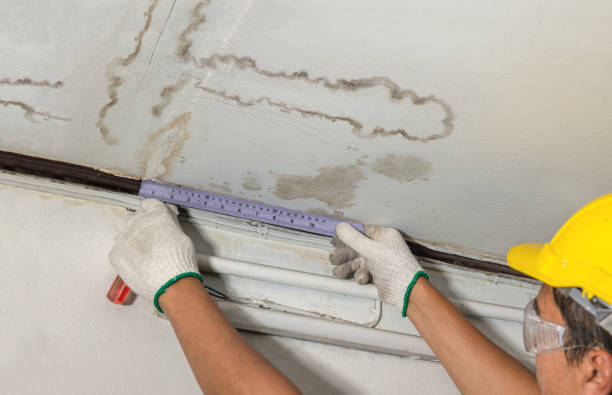 Affordable Water Damage Repair solutions in Dallas, WV